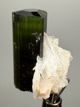 Load image into Gallery viewer, Dark Green Cap Stak Nala Tourmaline with Cleavelandite Flower – Haramosh Mountains, Pakistan | Thumbnail Specimen