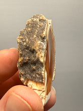 Load image into Gallery viewer, Premium Sumatra Agate (Banded Chalcedony) Display Specimen | Indonesia