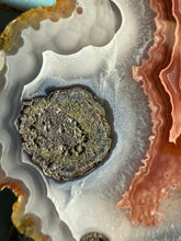 Load image into Gallery viewer, Agua Nueva Agate Nodule • High Grade Mineral Display Specimen • Mirror Polish