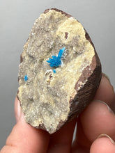 Load image into Gallery viewer, Rare Electric Blue Pentagonite on Druzy Matrix – Collector Mineral Specimen | India
