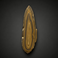 Load image into Gallery viewer, Stromatolite Fossil Slice | Ancient Microbial Reef Structure | Morocco