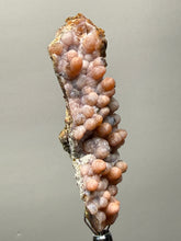 Load image into Gallery viewer, “Goblin Chalcedony” Pink and Red Druzy Botryoidal Stalactites — Tichka Massif, High Atlas, Morocco