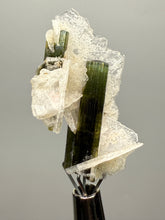 Load image into Gallery viewer, Green Cap Stak Nala Tourmaline with Cleavelandite – Haramosh Mountains, Pakistan | Thumbnail Specimen