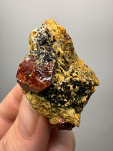 Load image into Gallery viewer, Naturally Faceted Zircon Crystal on Pegmatite–Biotite Matrix • Pakistan Mineral Specimen