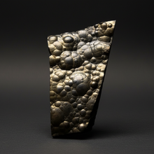 Load image into Gallery viewer, Botryoidal Stalactite Goethite (Iron Oxyhydroxide) Display Specimen | Turkey