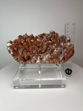 Load image into Gallery viewer, Red Phantom Pagoda Tower Calcite from Hubei Province, China • High Grade High Shine • Stand Included • Mineral Collector’s Showpiece