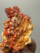 Load image into Gallery viewer, Natural Vanadinite on Matrix | Collector Mineral Specimen | Morocco