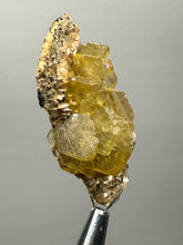 Load image into Gallery viewer, Vibrant Yellow Barite | Collector Display Specimen | Taourirt Mine, Morocco