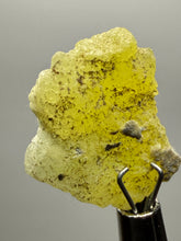 Load image into Gallery viewer, Vibrant Yellow Brucite Thumbnail Mineral Specimen | Collector Crystal from Killa Saifullah District in Balochistan Province, Pakistan