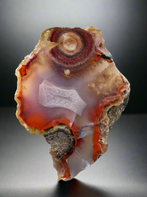 Load image into Gallery viewer, Rare Moroccan Orbicular Agate Collected by Indigenous Nomads | Ancient Beauty from the Sahara