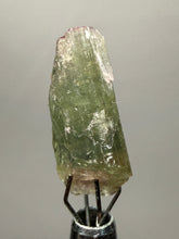 Load image into Gallery viewer, Raw Bi-Color Tourmaline Crystal Specimen | Ocean View Mine, Pala, California, USA