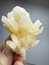 Load image into Gallery viewer, Golden Coral Aragonite Crystal Specimen – Wenshan Mine, Yunnan, China