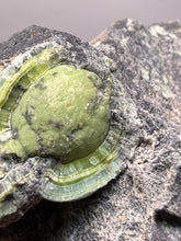 Load image into Gallery viewer, High-Grade Green Wavellite Collectors Specimen - Radiating Botryoidal Crystal Formation - Arkansas, USA