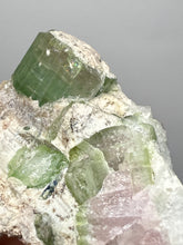 Load image into Gallery viewer, Watermelon Tourmaline on Quartz Matrix – Collector Mineral Specimen from Pakistan