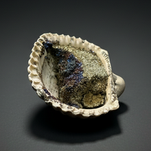 Load image into Gallery viewer, Bivalve (Pelecypoda) Fossil Sea Shell with Chalcopyrite | Mineralized Fossil Specimen | Indonesia