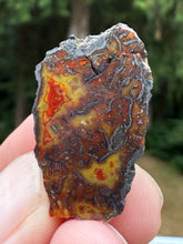 Load image into Gallery viewer, Moroccan Orange, Yellow, Red Agate Collected by Indigenous Nomads | Ancient Beauty from the Sahara