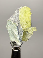 Load image into Gallery viewer, Vibrant Yellow Brucite Thumbnail Mineral Specimen | Collector Crystal from Killa Saifullah District in Balochistan Province, Pakistan