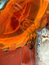 Load image into Gallery viewer, Condor Agate from Argentina • High Grade Mineral Display Specimen• Mirror Polish