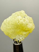 Load image into Gallery viewer, Vibrant Yellow Brucite Thumbnail Mineral Specimen | Collector Crystal from Killa Saifullah District in Balochistan Province, Pakistan