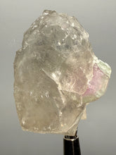 Load image into Gallery viewer, Watermelon Tourmaline on Quartz Matrix – Collector Mineral Specimen from Pakistan