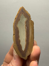 Load image into Gallery viewer, Stromatolite Fossil Slice | Ancient Microbial Reef Structure | Morocco