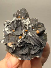 Load image into Gallery viewer, Natural Vanadinite on Matrix | Collector Mineral Specimen | Morocco