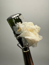Load image into Gallery viewer, Dark Green Stak Nala Tourmaline and Cleavelandite – Haramosh Mountains, Pakistan | Thumbnail Specimen