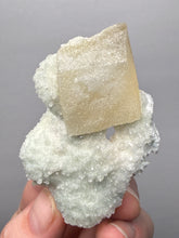 Load image into Gallery viewer, Rare Druzy Golden “Diamond” Calcite on Zeolite Matrix — Maharashtra, India | Collector Cabinet Specimen