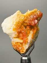 Load image into Gallery viewer, Natural Vanadinite on Matrix | Collector Mineral Specimen | Morocco