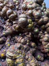 Load image into Gallery viewer, High-Grade Iridescent Botryoidal Limonite (Goethite-After-Limonite) Display Specimen | Nandan Co., Hechi, Guangxi, China