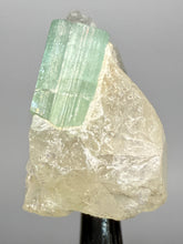 Load image into Gallery viewer, Mint Green Tourmaline on Quartz Matrix– Pegmatite Mineral Specimen from Pakistan