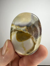 Load image into Gallery viewer, Cobra Jasper Palm Stone from India • High Grade