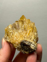 Load image into Gallery viewer, Golden Glow Calcite Cluster | Maharashtra, India