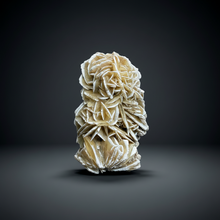 Load image into Gallery viewer, Desert Rose Selenite (Gypsum) — Mineral Display Specimen | Mexico