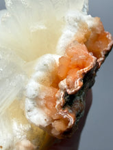 Load image into Gallery viewer, Cream Stilbite Flower on
Orange Heulandite Zeolite Cluster – India (Collector Mineral Specimen)
