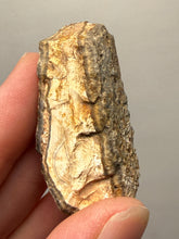 Load image into Gallery viewer, Premium Sumatra Agate (Banded Chalcedony) Display Specimen | Indonesia
