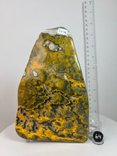 Load image into Gallery viewer, Bumblebee Jasper Agate Free Form • from West Java, Indonesia • AAA High Grade