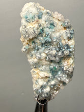 Load image into Gallery viewer, Blue-Green Chrysocolla in Botryoidal Chalcedony Cabinet Specimen | Indonesia