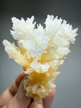 Load image into Gallery viewer, High-Grade Coral Aragonite Crystal Specimen – Wenshan Mine, Yunnan, China