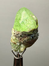 Load image into Gallery viewer, Raw Peridot (Olivine) in Matrix Collector Specimen | Sapat Valley, Pakistan
