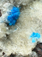 Load image into Gallery viewer, Rare Electric Blue Pentagonite on Druzy Matrix – Collector Mineral Specimen | India