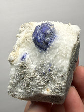 Load image into Gallery viewer, Afghan Lazurite Specimen | Deep Blue Lapis-Grade Crystal on Matrix | Collector Display Mineral