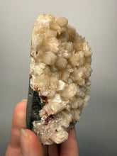 Load image into Gallery viewer, Shiny Pearl Stilbite on Druzy Red Heulandite – High-Grade Collector Mineral Specimen from India