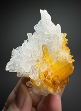 Load image into Gallery viewer, High Grade Golden Iron-Stained Himalayan Quartz Cluster | Rare Pakistan Mineral Specimen | Collector Display Crystal