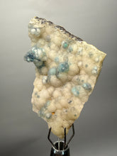 Load image into Gallery viewer, Blue-Green Chrysocolla in Botryoidal Chalcedony Cabinet Specimen | Indonesia