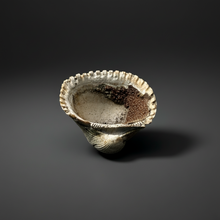 Load image into Gallery viewer, Bivalve (Pelecypoda) Fossil Sea Shell with Chalcopyrite | Mineralized Fossil Specimen | Indonesia