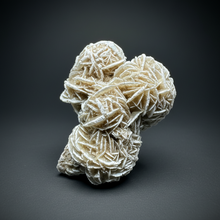 Load image into Gallery viewer, Desert Rose Selenite (Gypsum) — Mineral Display Specimen | Mexico