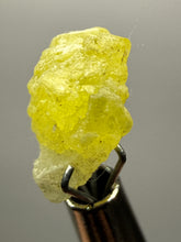 Load image into Gallery viewer, Vibrant Yellow Brucite Thumbnail Mineral Specimen | Collector Crystal from Killa Saifullah District in Balochistan Province, Pakistan