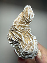 Load image into Gallery viewer, Desert Rose Selenite (Gypsum) — Mineral Display Specimen | Mexico