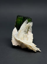 Load image into Gallery viewer, Green Cap Stak Nala Tourmaline with Cleavelandite – Haramosh Mountains, Pakistan | Thumbnail Specimen